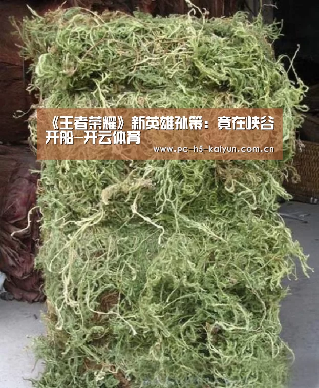 开云体育