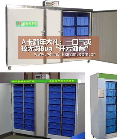 开云体育