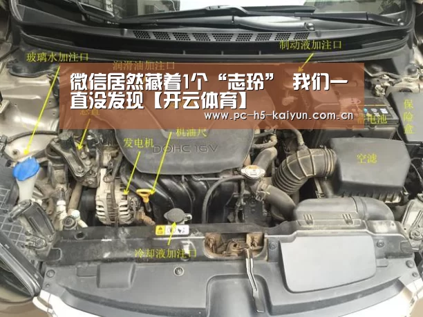 开云体育