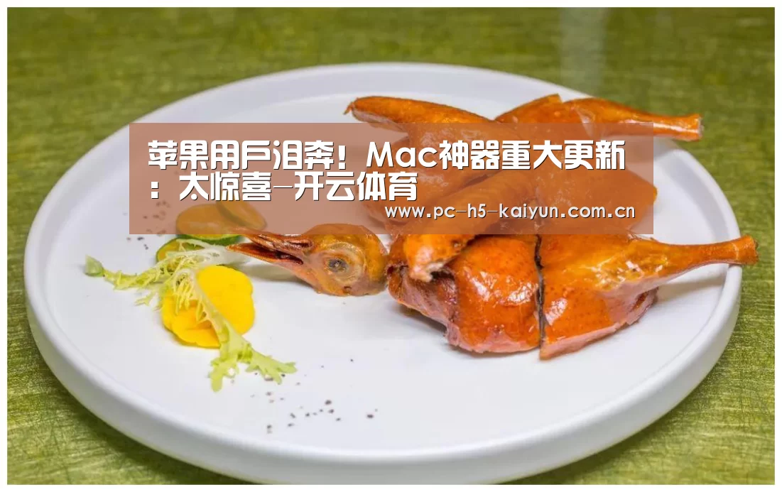 开云体育